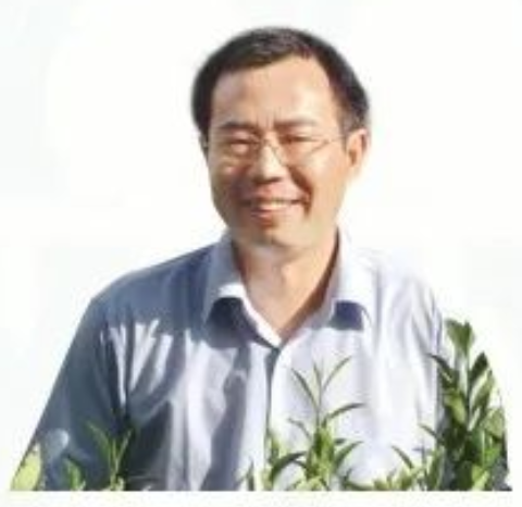 龙明华