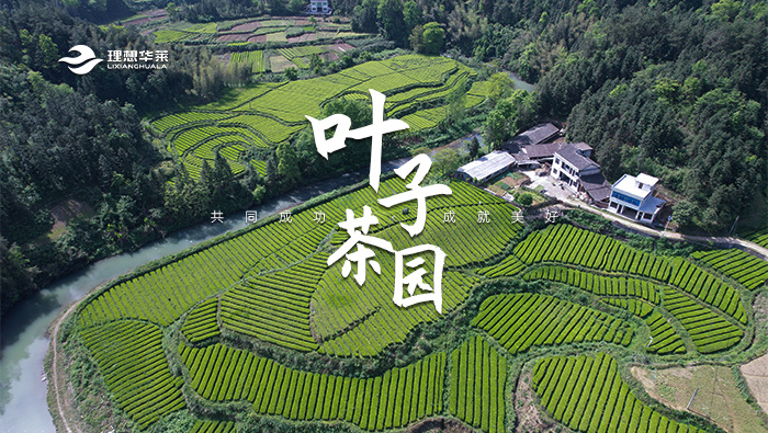 叶子茶园